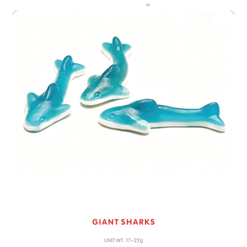 Bonbon Gummy Géant Requin